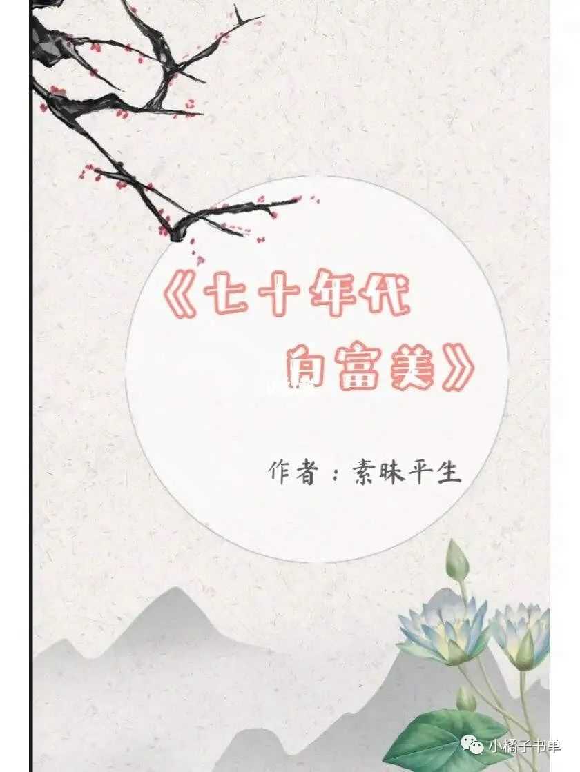 别后重逢《七十年代白富美》