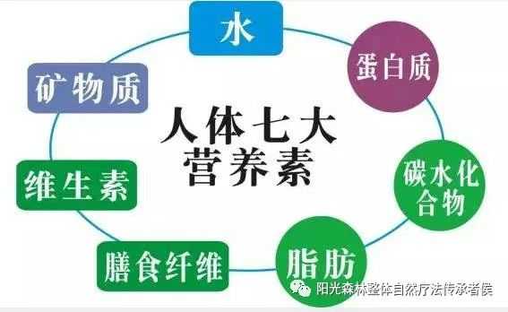 失传的营养学