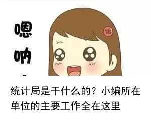 统计局是干什么的？小编所在单位的主要工作全在这里